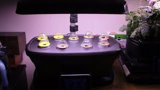 My Aerogarden Bounty Unboxing and Set Up [upl. by Rimidalb]