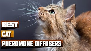 Cat Pheromone Diffuser  Can I Try Once from here [upl. by Nailij]