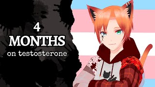 4 months on testosterone What has changed [upl. by Tibbetts]