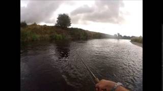 River Slaney Clohamon Salmon Fishing with Gary Murray [upl. by Yllaw]