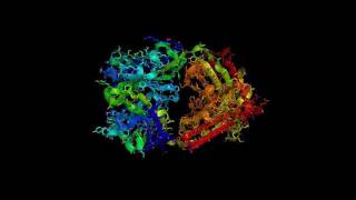 Herceptin Trastuzumab HD [upl. by Koffman]