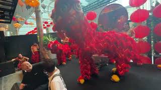 Epacs Lion Dance CNY2023  Huami Sky City Auckland [upl. by Chick]