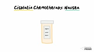 Nausea and Cisplatin Chemotherapy [upl. by Laehplar447]