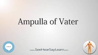 Ampulla of Vater Anatomy Named After People 🔊 [upl. by Artep]