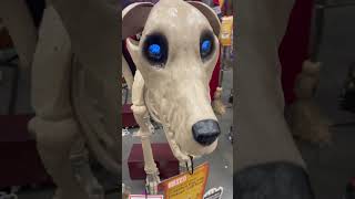 Home Depot 12ft skeleton dog animatronic halloween homedepot 12ftskeleton [upl. by Assenyl]