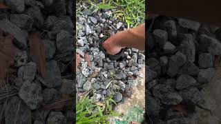 Foam Leaf Filter Orlando FLdiy gutter rain frenchdrain learning learn florida cloggeddrain [upl. by Aehs391]