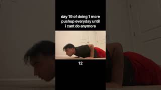 day 19 of doing 1 more pushup everyday until i cant do anymore [upl. by Adnamas]