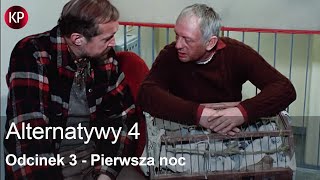 Alternatywy 4  Odcinek 3  Polski serial komediowy  Stanisław Bareja  PRL  Kultowy serial [upl. by Aenneea]