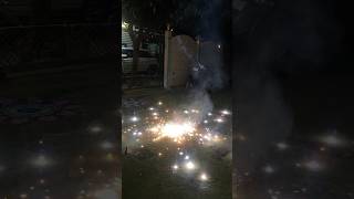 Diwali celebrations at home sweet home 🏠 diwali diwalicelebration diwalifestival happydiwali [upl. by Ancalin]