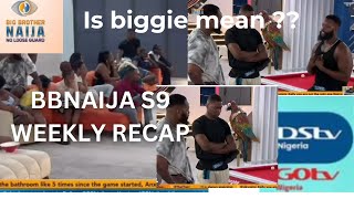 BBNAIJA BBNAIJA S9 recap bbnaija livestream bigbrother realitytvshow [upl. by Norri]