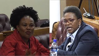 Busisiwe Mkhwebane amp Candidate Clash at SAHRC Interviews [upl. by Aicitan81]