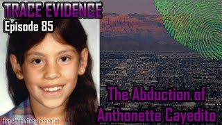 The Abduction of Anthonette Cayedito  Trace Evidence 85 [upl. by Rojam]