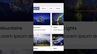 Responsive Filterable Image Gallery javascript javascriptfilter filters webdesign css3animation [upl. by Arykahs]