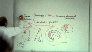 NEUROANATOMIA 20 CUERPO ESTRIADO Parte 1 [upl. by Rudolph491]