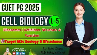 ✍️L5 Ribosomes  Definition Structure amp Function Complete Lecture  MSc Zoology Course 2025 [upl. by Ramsden937]