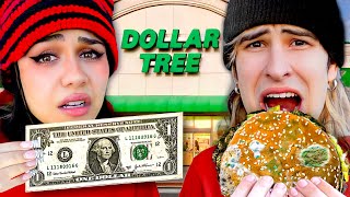 Eating Dollar Store Food ONLY For 24 Hours [upl. by Ielirol32]