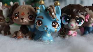 LPS  Customs Up For Adoption  20 SOLD [upl. by Gwenore]