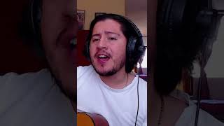 Mario Valdizón  El colmo Babasónicos Cover [upl. by Barris894]