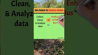 Data Analyst vs Business Analyst [upl. by Eartha345]