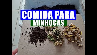 3 ALIMENTOS QUE VOCÊ TEM EM CASA QUE AS MINHOCAS ADORAM [upl. by Elleiad]