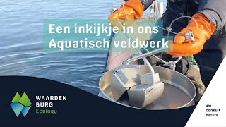 Verschillende aquatische werzaamheden van Waardenburg Ecology op één dag [upl. by Ohl]