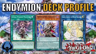 ENDYMION MYTHICAL BEASTS DECK PROFILE  YuGiOh  July 2021  Pendulum BEST DECK 遊戯王 유희왕 [upl. by Nonah]