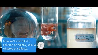 How Silver Nitrate AgNO3 Reacts With Potassium chromate K2CrO4  K2CrO4AgNO3 [upl. by Fulks950]