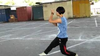 Yang Tai Chi 108 moves  by Angela [upl. by Ardek]