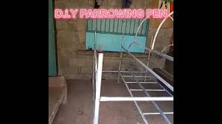 DIY FARROWING PEN shortvideoshortviralfarrowingpigdryfarmingpenpiggery happyfarming [upl. by Moule]