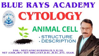 CYTOLOGY  ANIMAL CELL  CELL STRUCTURE  DESCRIPTION [upl. by Jens]