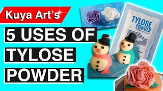 5 Uses of Tylose Powder by Kuya Art [upl. by Eadrahs662]