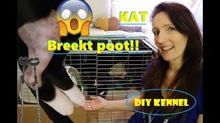 Kat breekt poot  Operatie en Hoe verliep de eerste weekDIY Kennel [upl. by Marna]