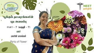 Morphology of Flowering plants  Part 7  Flower  Parts of Flower  NEET Tamil  NEET Biology [upl. by Kcirdahc]