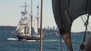 Sydney to Aukland Tall Ship Race [upl. by Ahsieka]