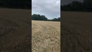 Walking on the Chiltern Way footpath heading towards Peters Green village heading towards Harpenden [upl. by Inatirb]