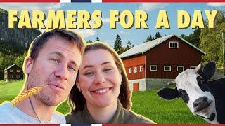 A day on a Norwegian farm  Visit Norway [upl. by Abby]