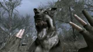 COD 4 Dog Attack [upl. by Normy]