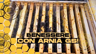 DONA BENESSERE ALLE TUE API grazie allArnia GS [upl. by Lanam]