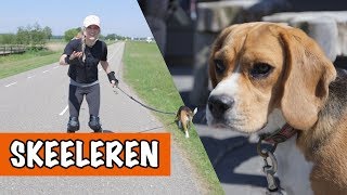 SKEELEREN MET MATZY  DierenpraatTV [upl. by Animaj129]