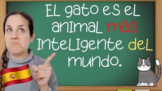 El SUPERLATIVO RELATIVO en español aprende cómo y cuándo se usa los grados del adjetivo 🇪🇸 [upl. by Dinsmore499]