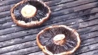 How to Grill Portabella Mushrooms [upl. by Irisa]