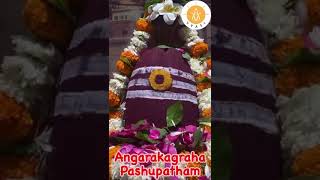 Day 18 Angaraka pashupatam [upl. by Noyahs]