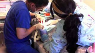 My First Dental Procedure 42811 [upl. by Delores497]