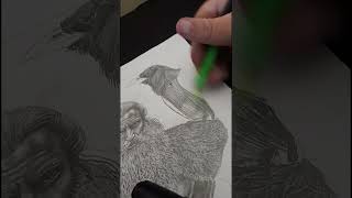 Odin Huginn and Muninn youtubeshorts youtubeartist art drawing odin huginnandmuninn [upl. by Evelyn]