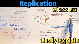 Replication  Synthesis Of DNA  Class 12 Biology [upl. by Anuahsal]