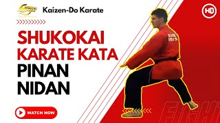 Shukokai Karate Kata  Pinan Nidan [upl. by Rosario]