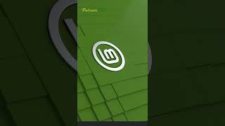 Linux Mint WiFi Not Detected What to Do shorts linuxmint [upl. by March684]