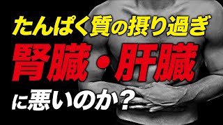 たんぱく質の摂り過ぎは腎臓や肝臓に悪いのか？  ボディビルチャンピオンが解説【ビーレジェンド プロテイン】 [upl. by Katherin]