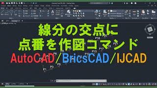 線分の交点に点番を作図コマンド AutoCADBricsCADIJCAD [upl. by Frasier]