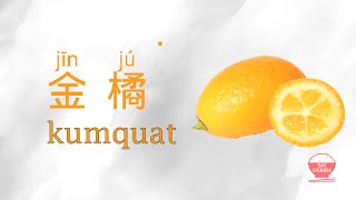 how to say kumquat 金橘 quot jin ju quot in Chinese  Real Human Voice [upl. by Kerrie340]